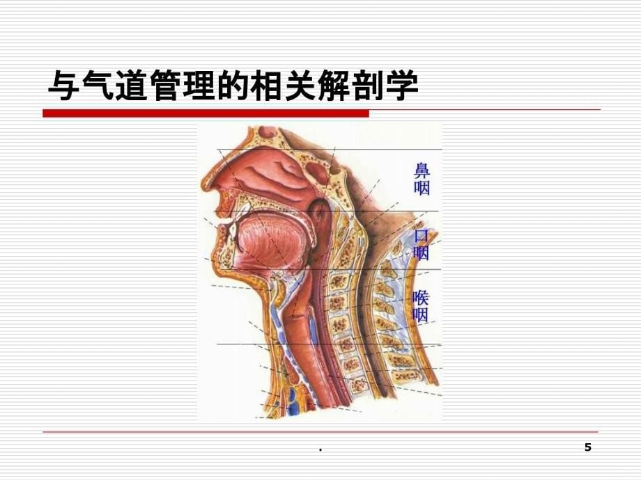 急救中的气道管理何永祥PPT课件_第5页