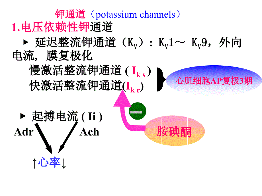 动物科学前沿课件_第4页