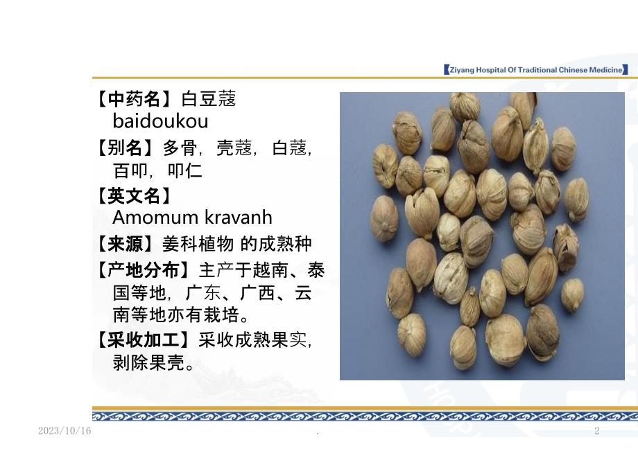 豆蔻与黄芩滑石汤PPT课件_第2页