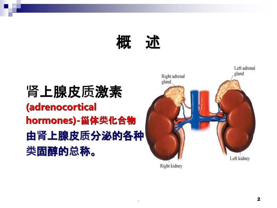 第二十七讲 肾上腺皮质激素类药PPT课件_第2页