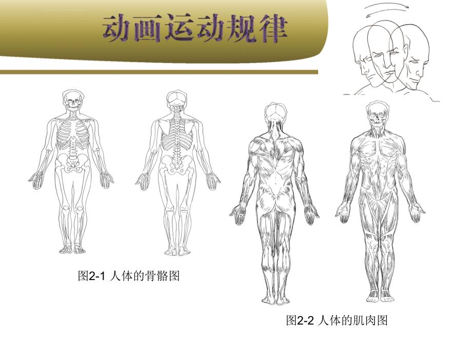 动画运动规律_第二部分课件_第3页