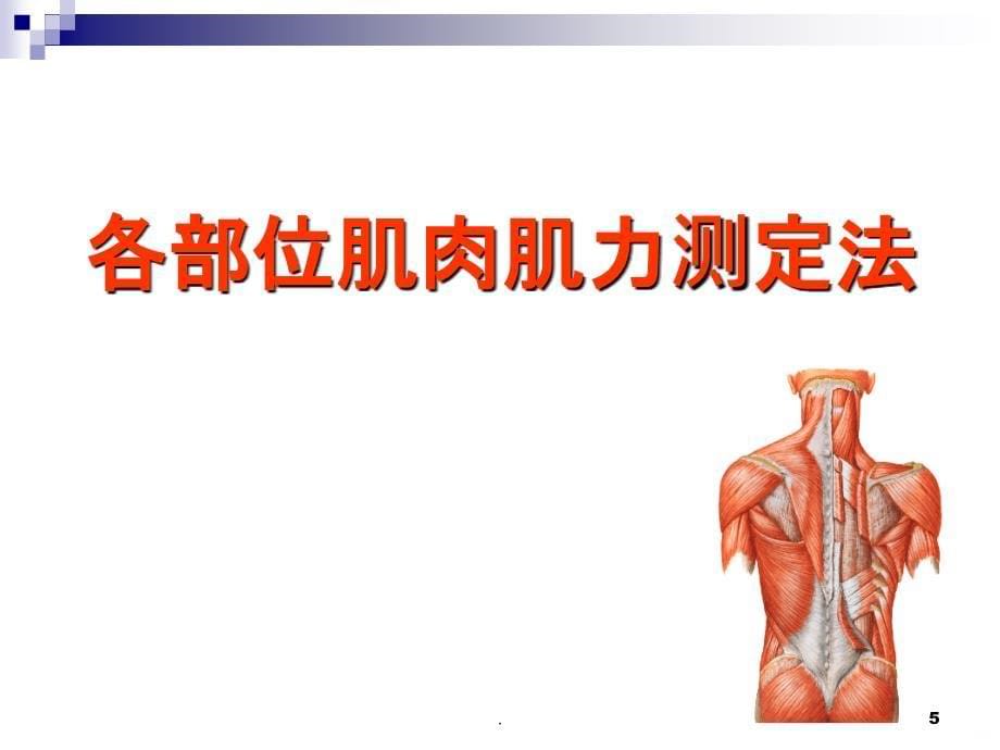 肌力检查PPT课件_第5页