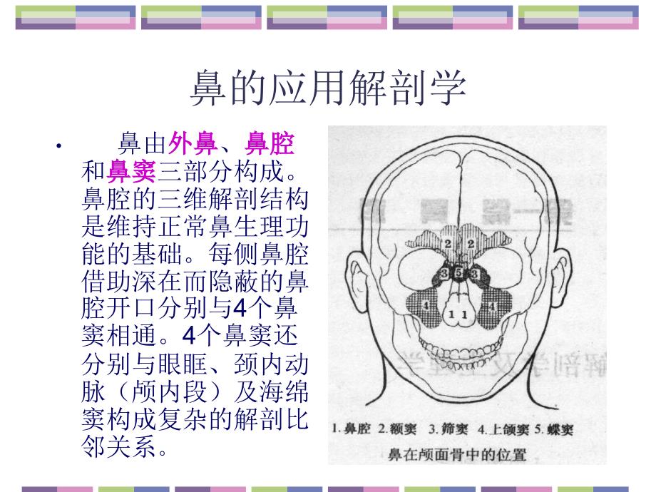 鼻的应用解剖学和生理学复习课程_第2页