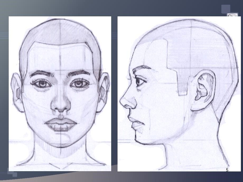 脸部的画法及表情PPT课件_第5页