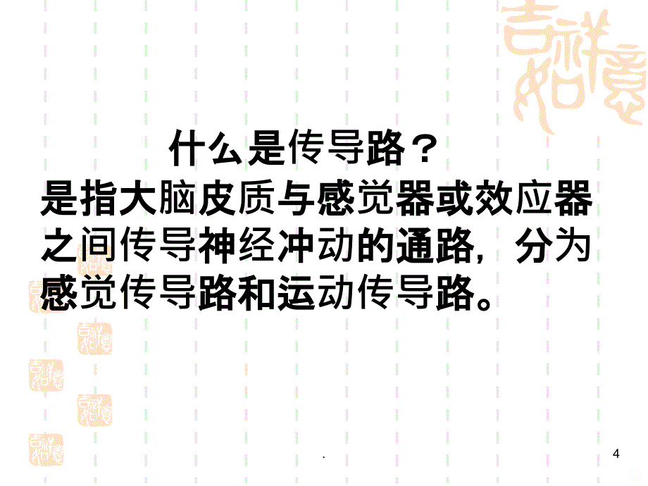 大脑皮质的感觉功能PPT课件_第4页