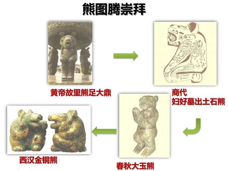 保护月熊相关宣传讲义资料_第5页