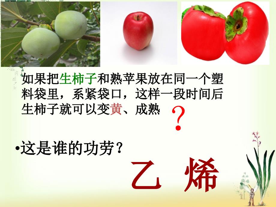 乙烯_PPT课件....ppt_第1页