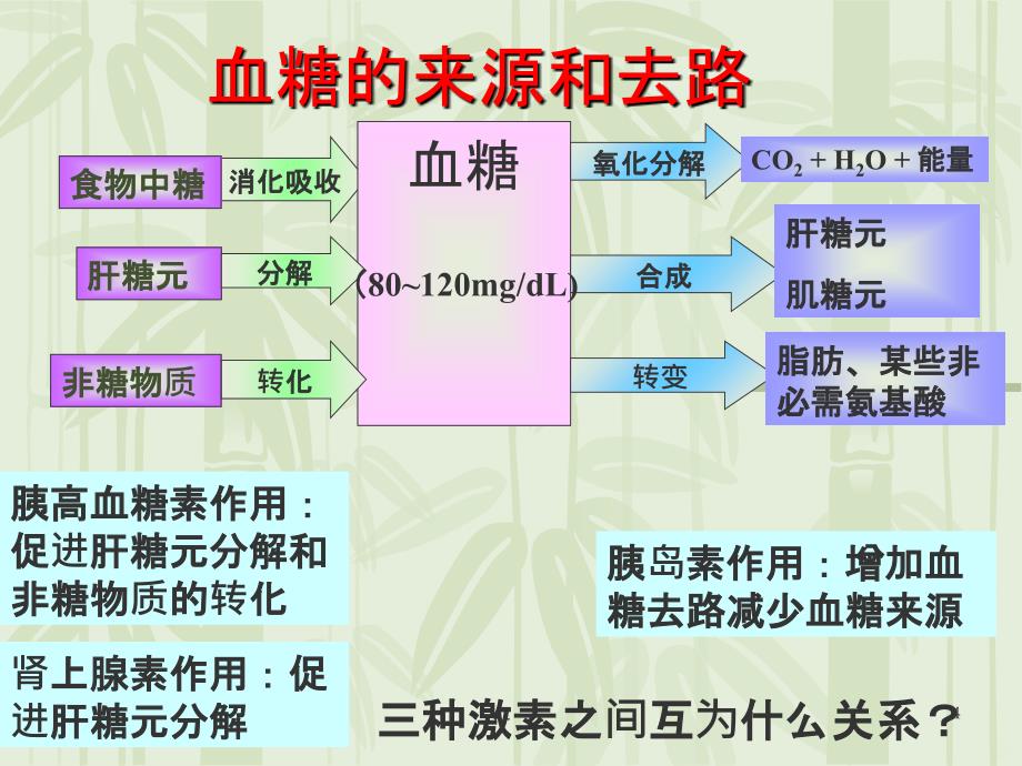 血糖的调节正式版PPT课件_第4页