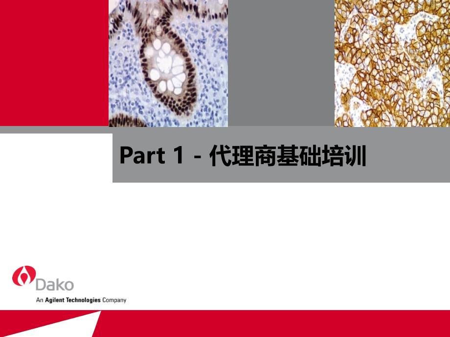 病理的经典培训很实用教学材料_第1页