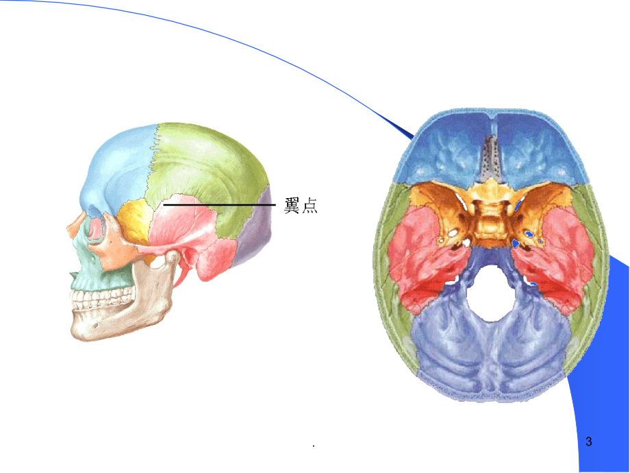 耳的应用解剖资料PPT课件_第3页