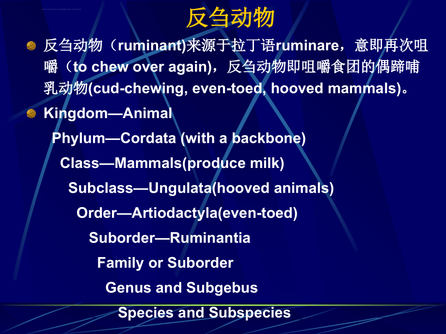 动物的消化吸收与利用课件_第2页