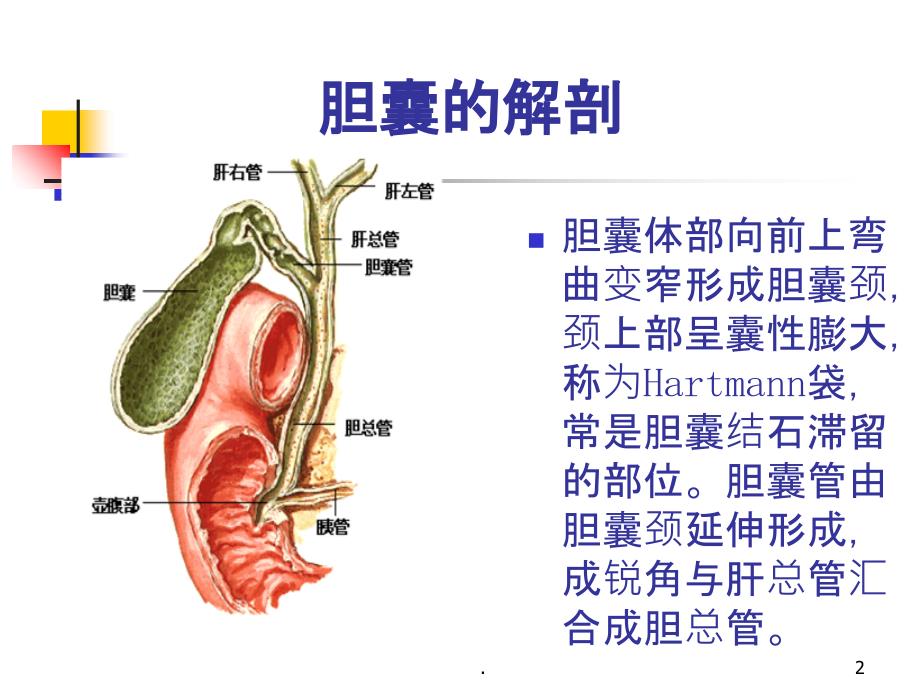 胆囊炎的临床特点与治疗原则PPT课件_第2页