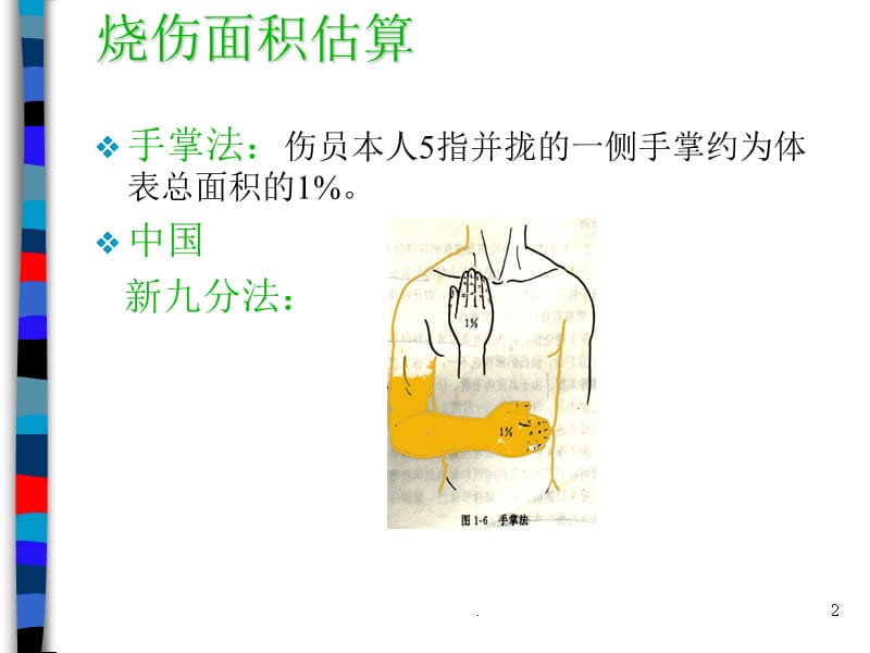 烧伤补液PPT课件_第2页