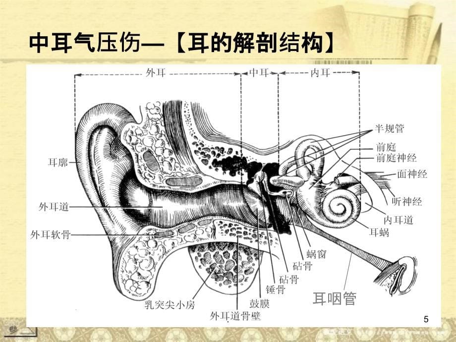 高压氧常见并发症 高洁PPT课件_第5页