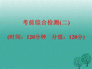 中考语文考前综合检测（二）复习课件新人教版