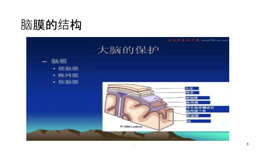 硬膜内外出血的对比PPT课件_第3页