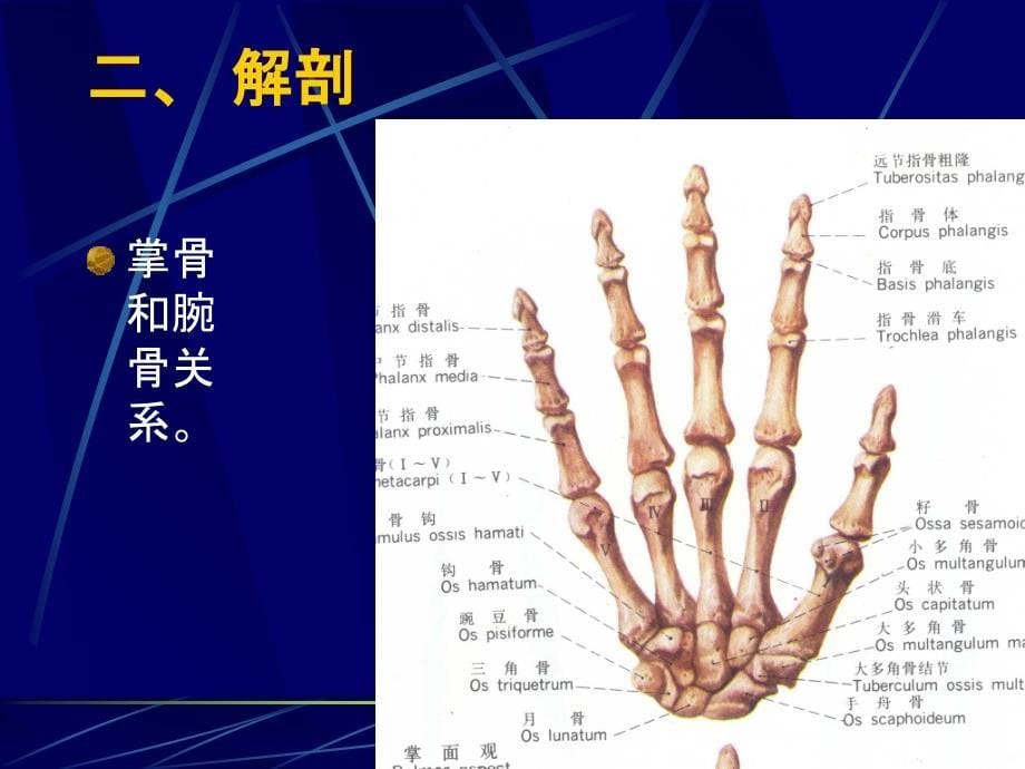 掌骨骨折PPT课件_第5页