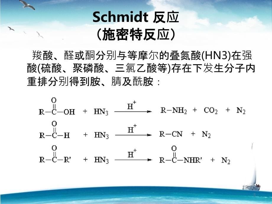 (人名反应)重排反应PPT课件_第5页