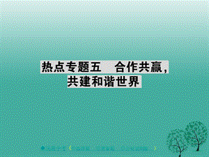 中考政治热点聚焦专题五合作共赢共建和谐世界复习课件