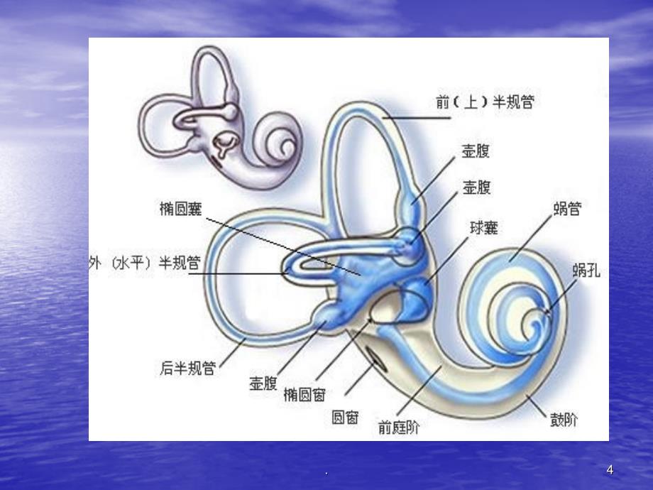 最新噪声性听力损伤-文档PPT课件_第4页