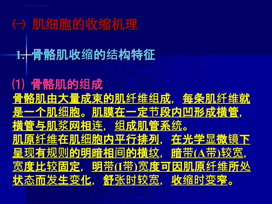 动物生理学_第九章_肌肉PPT课件_第4页