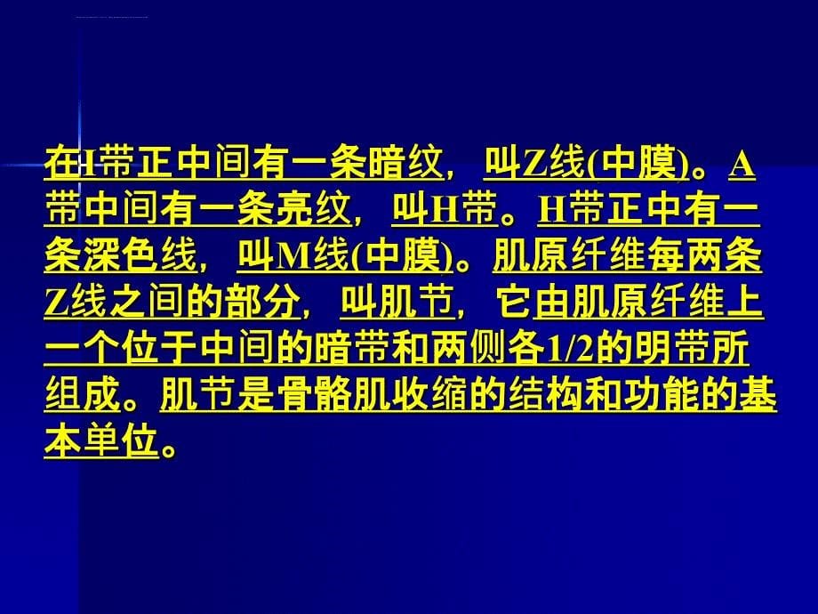 动物生理学_第九章_肌肉PPT课件_第5页