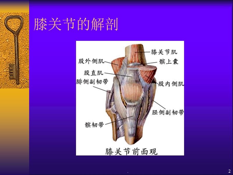 膝关节退行性关节病康复治疗剖析PPT课件_第2页