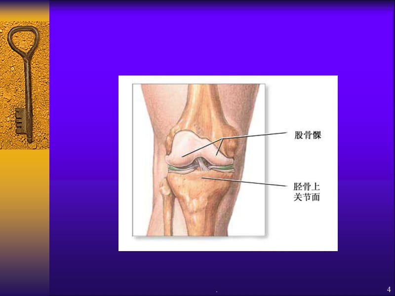 膝关节退行性关节病康复治疗剖析PPT课件_第4页