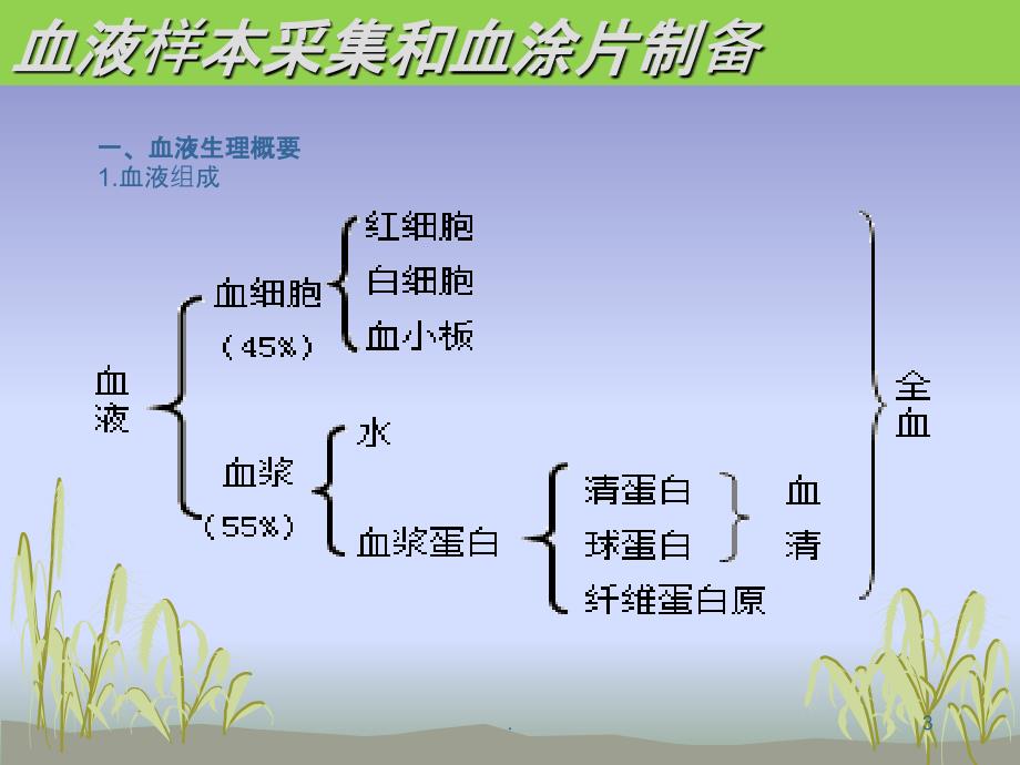 血液样本采集PPT课件_第3页