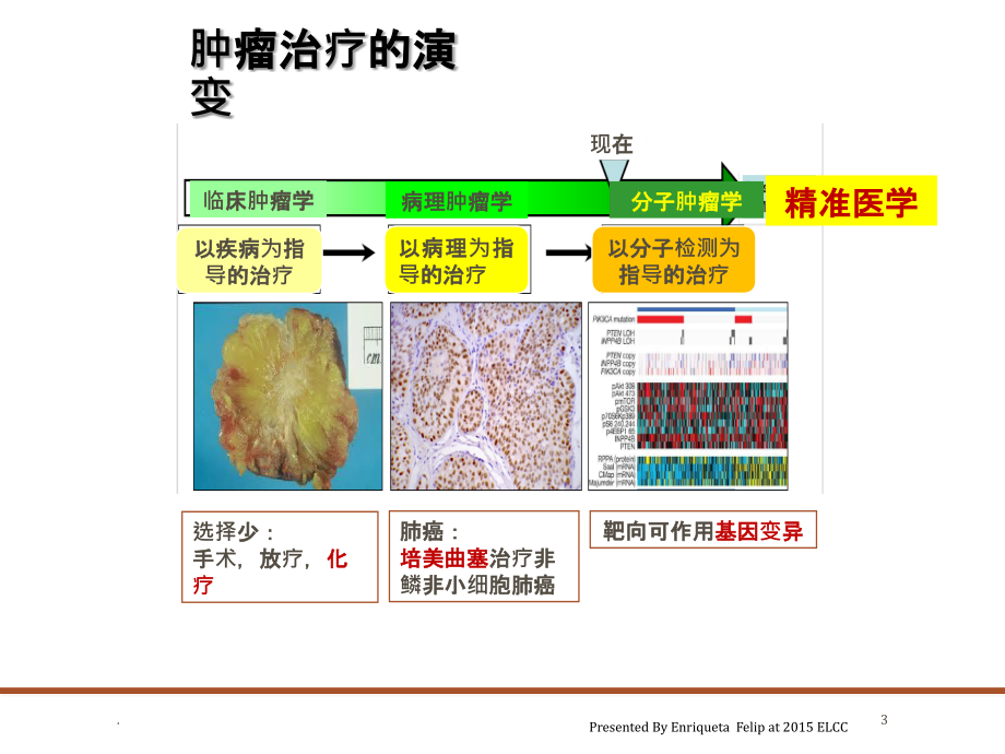 肺癌化疗进展PPT课件_第3页