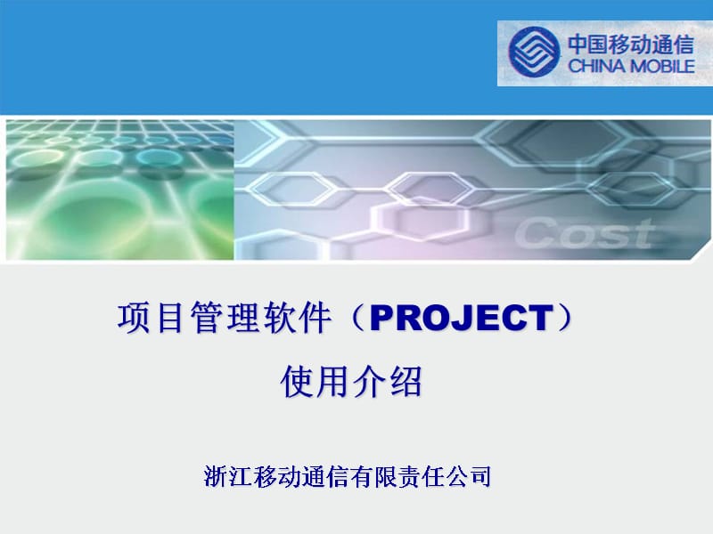 Project项目管理软件使用培训讲学_第2页