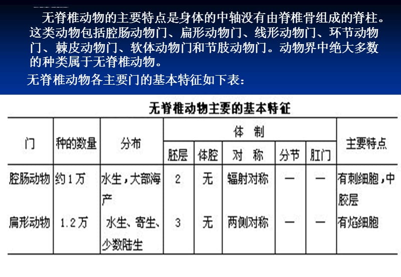 动物解剖和分类课件_第2页