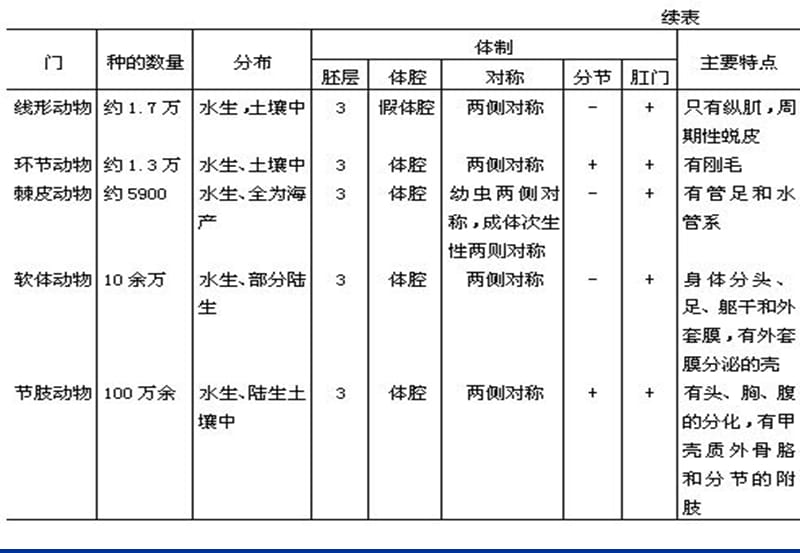 动物解剖和分类课件_第3页