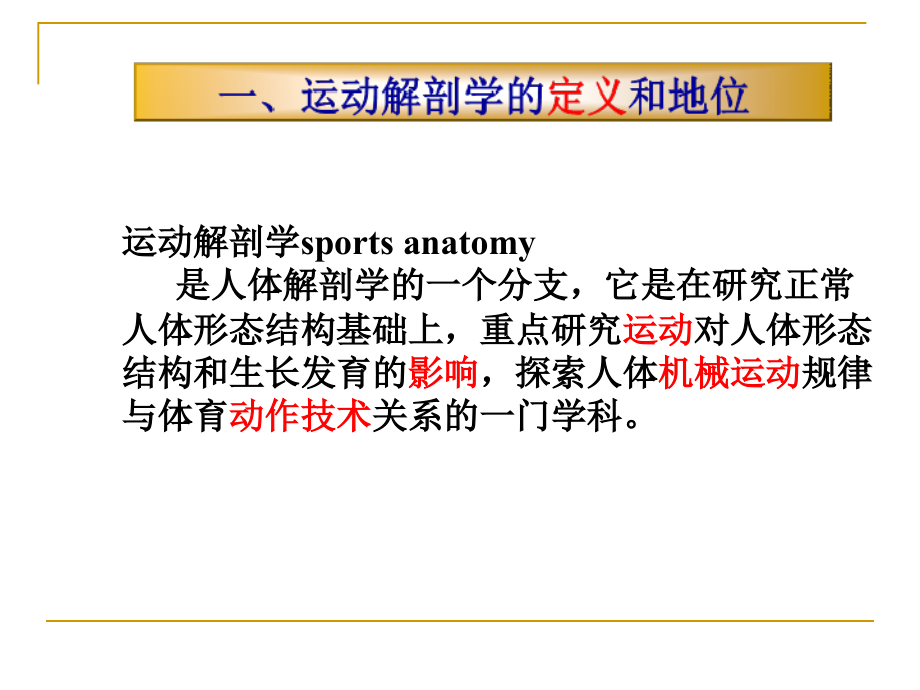 运动解剖学ppt课件....ppt_第3页