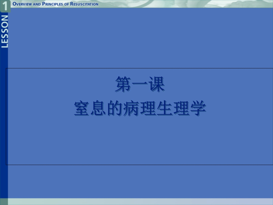 lz2012年新生儿窒息复苏讲课资料讲解_第4页