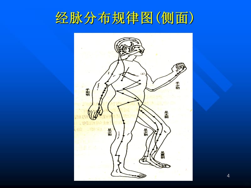 经络腧穴学基础(中级)PPT课件_第4页