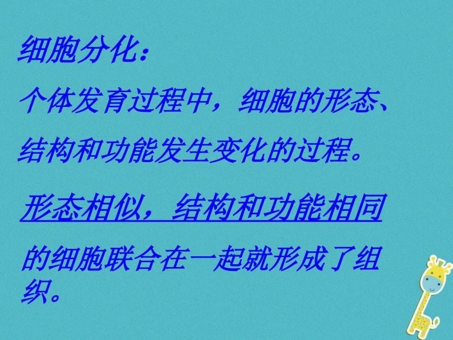 2017-2018学年七年级生物上册 第二单元 第二章 第二节 动物体的结构层次课件1 （新版）新人教版_第5页