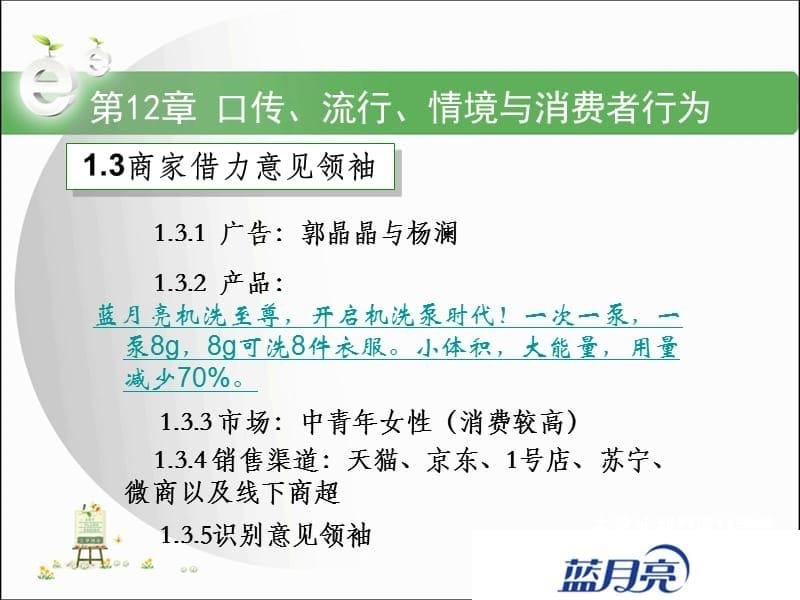 口碑、流行、情景与消费者行为与蓝月亮洗衣液剖析课件_第5页