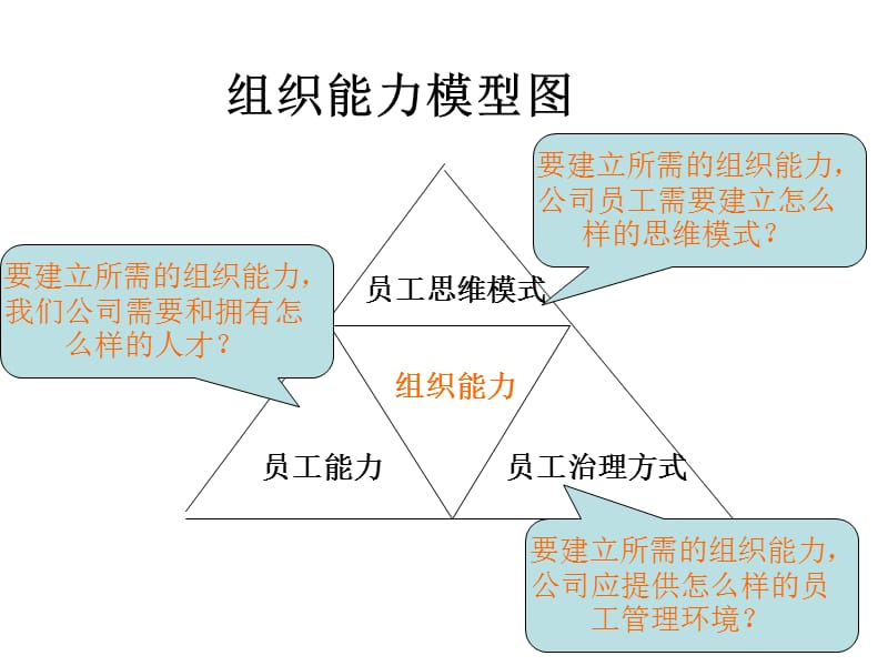 打造组织能力成功实现人力资源管理转型幻灯片资料_第5页