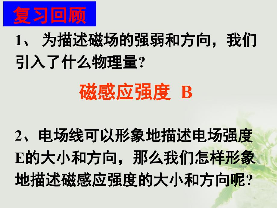 湖北省丹江口市高中物理 第三章 磁场 3.3 几种常见的磁场（1）课件 新人教版选修3-1_第2页