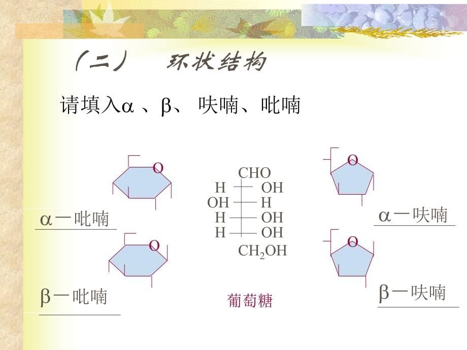 华南农业大学食品化学_03糖课件_第5页