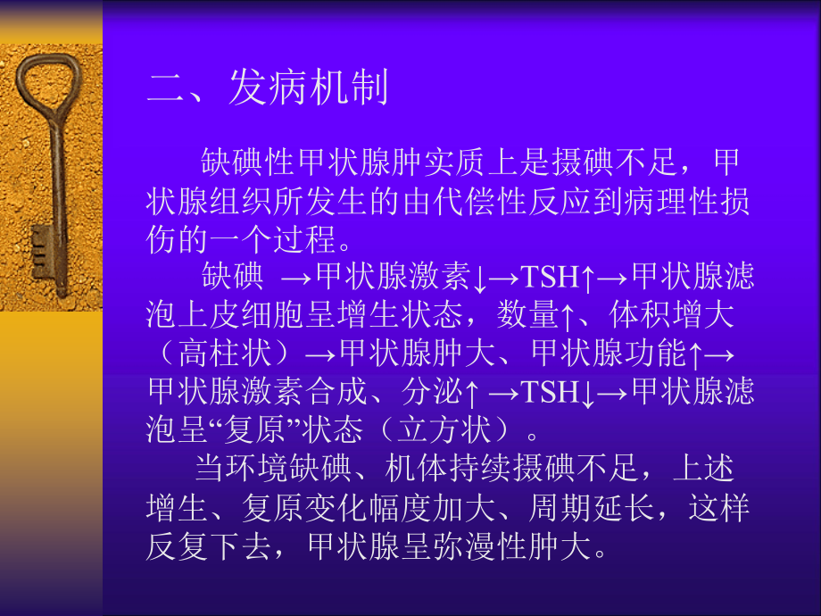 碘缺乏病的诊断与治疗PPT课件_第3页