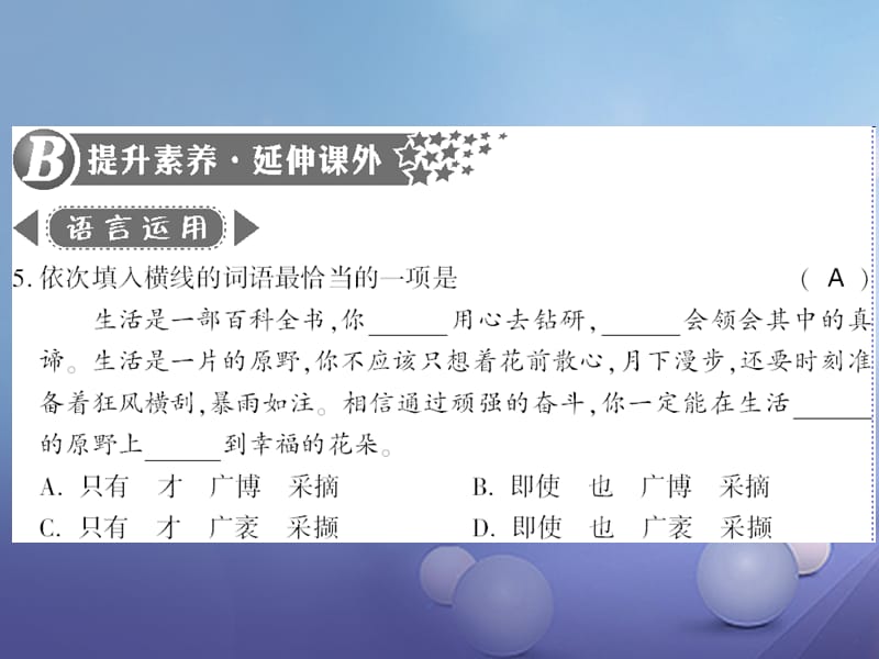 广西桂林市2017九年级语文上册 第三单元 11 大小猫洞习题课件 语文版_第3页