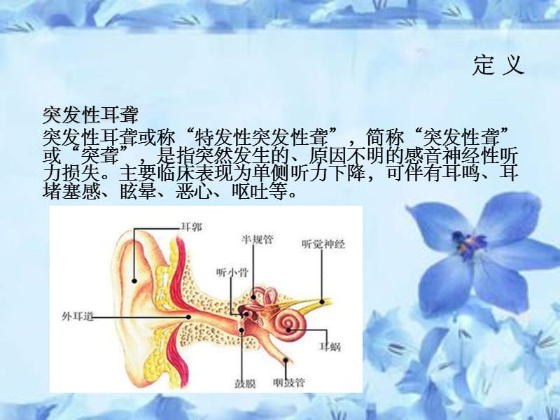 突发性耳聋病人的护理ppt课件_第3页