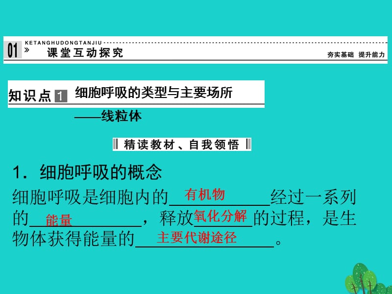 2017年高中生物 第三单元 细胞的新陈代谢 第二章 细胞能量的来源与转变 3.2.4 从化学能到生物能课件 中图版必修1_第4页