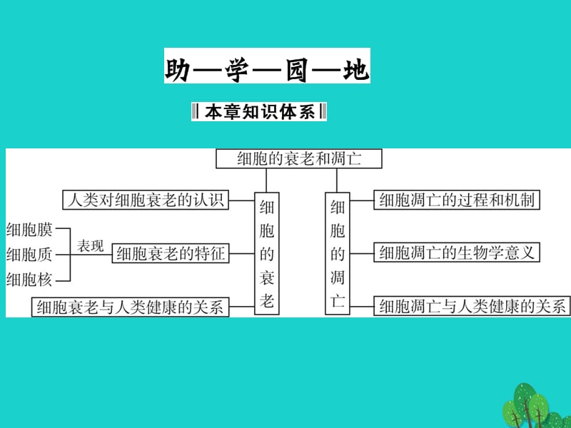 2017年高中生物 第四单元 细胞的生命周期 第二章 细胞的衰老与凋亡章末课件 中图版必修1_第2页