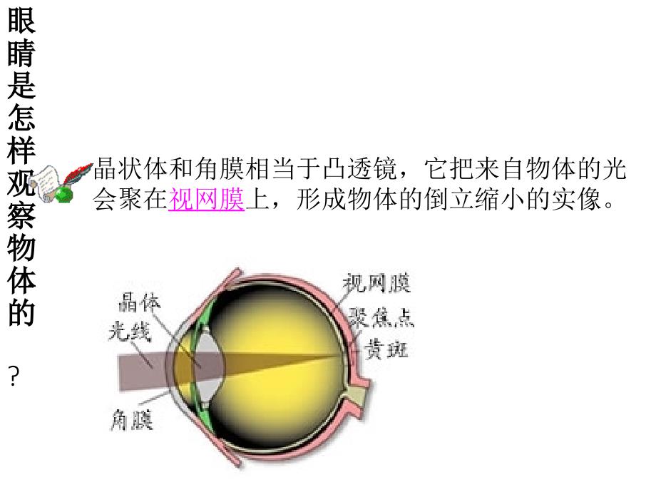 (课堂教学课件）八年级物理：眼睛与眼镜2_第4页