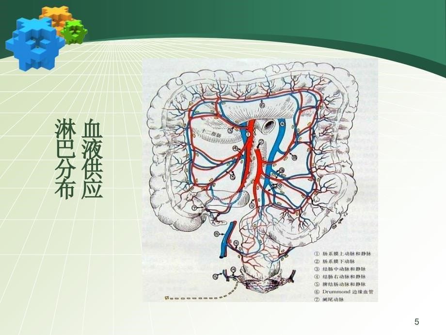 大肠疾病的护理知识课件_第5页