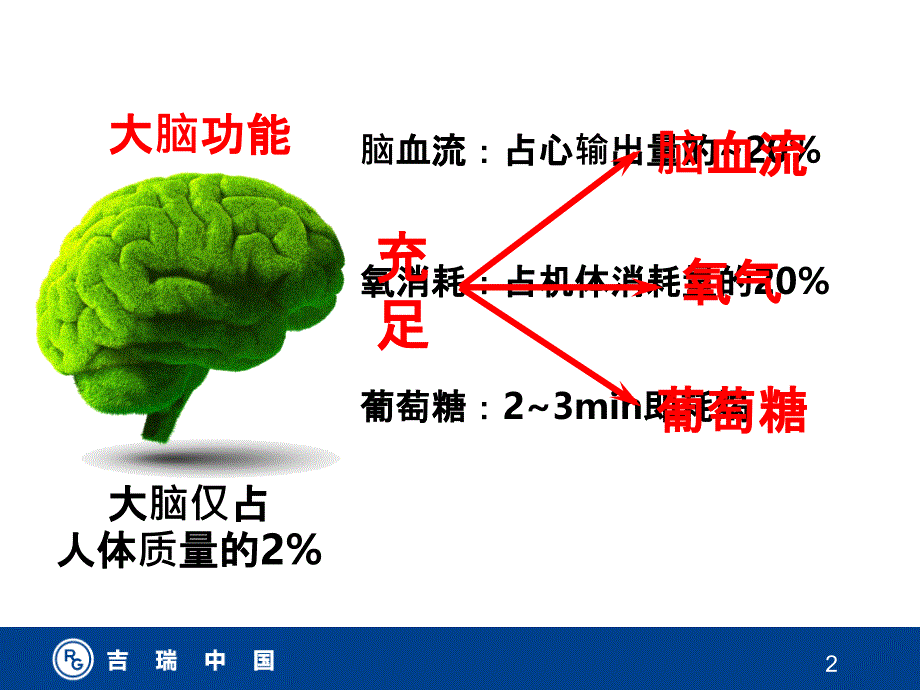 挽救缺血半暗带ppt课件_第2页