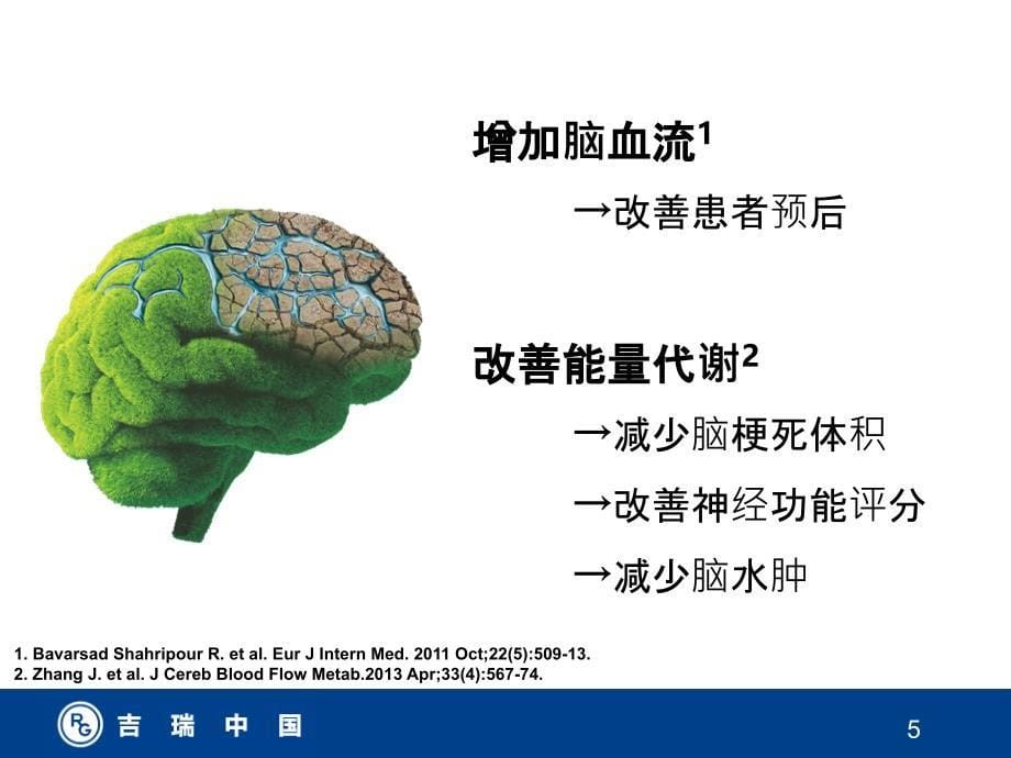 挽救缺血半暗带ppt课件_第5页